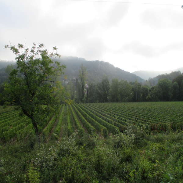 Offres de vente Terrain Luzech 46140