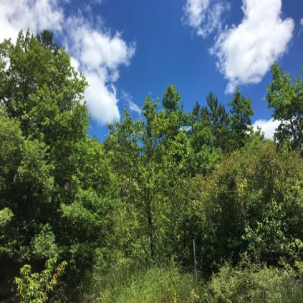 Offres de vente Terrain Cahors 46000