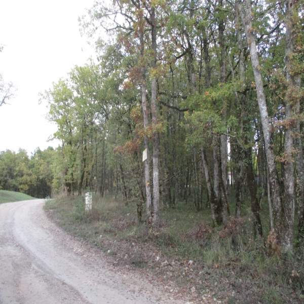 Offres de vente Terrain Castelfranc 46140