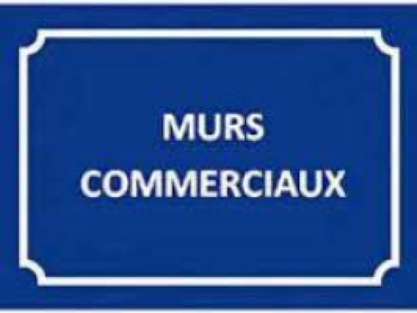 Vente Immobilier Professionnel Murs commerciaux Tarbes 65000