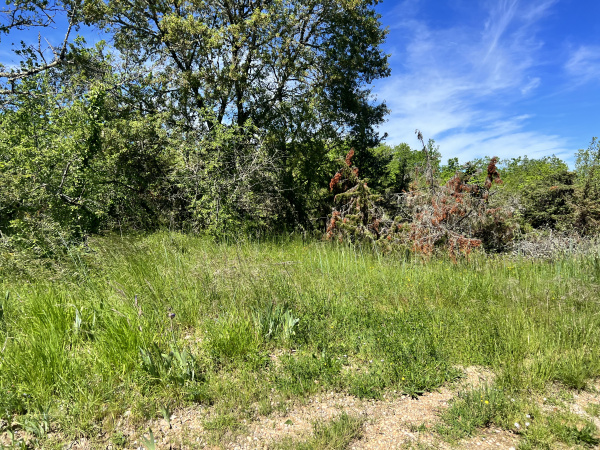Offres de vente Terrain Le Montat 46090