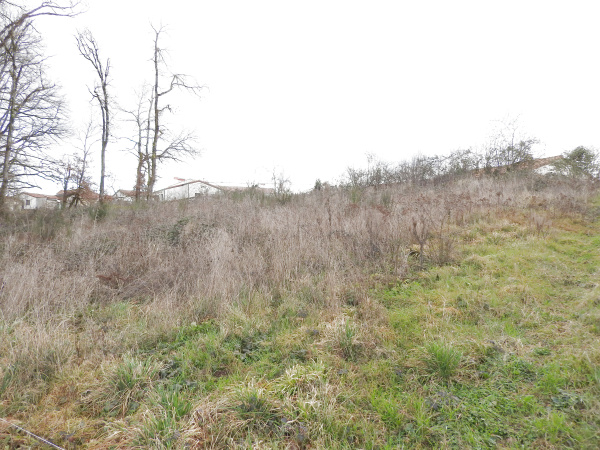 Offres de vente Terrain Pradines 46090